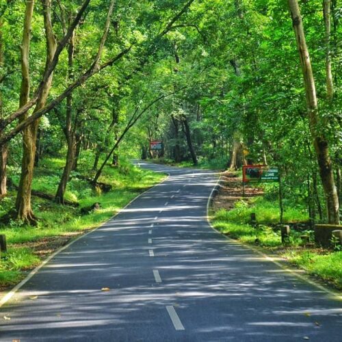 Valparai